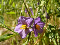 p1210469