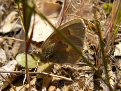 p1210471