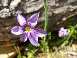 p1210486