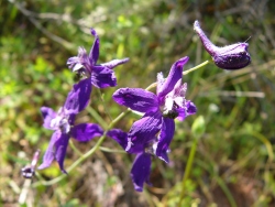 p1210489