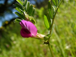 p1210492