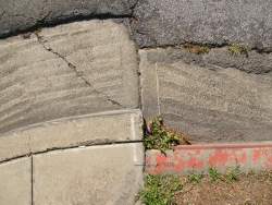 p1280142