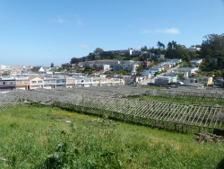 p2320722