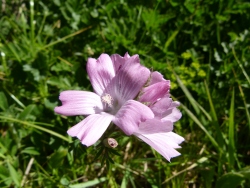 p2060697