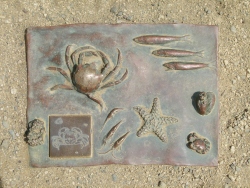 p2070707