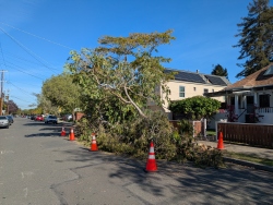 pxl20251109181951275