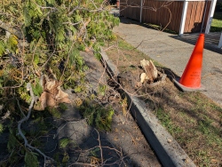 pxl20251109182057146