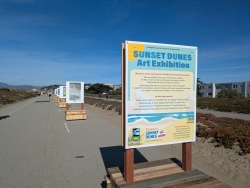 pxl20251109200700178