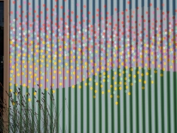 pxl20251109220752675