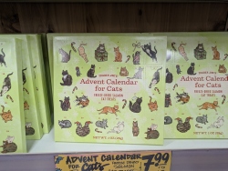 pxl20251110234823149