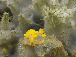 p1190634
