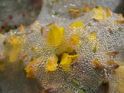 p1190637