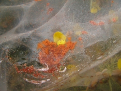 p1190640
