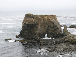 p1190644