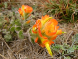 p1190647