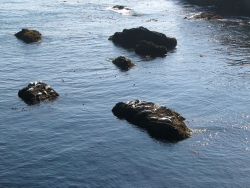 p1190674