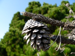p1190682