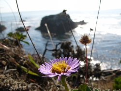 p1190687