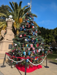 pxl20251210193143627