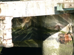 p2050798