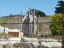 p2340582