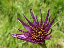 p1050527