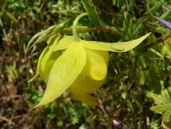 p1050531