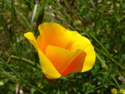 p1050543