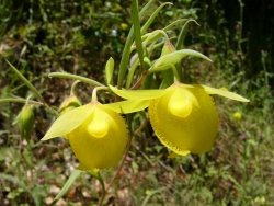 p1050545