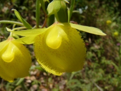 p1050546