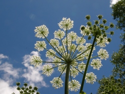 p1050547