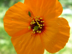 p1050551