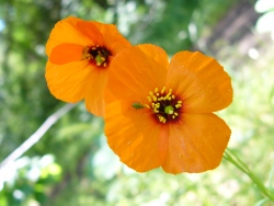 p1050552