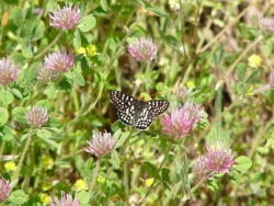 p1050554