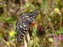 p1050557
