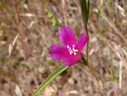 p1050558