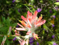 p1050560