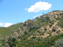 p1050562