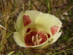 p1050564