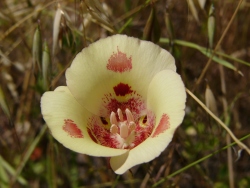 p1050565