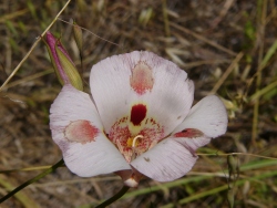p1050566