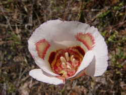p1050568