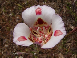 p1050571
