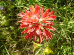 p1050573