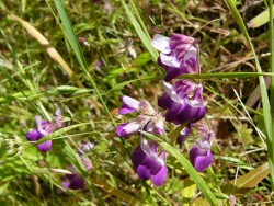 p1050574