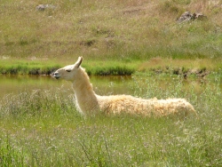 p1050576