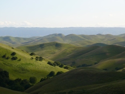 p1050598