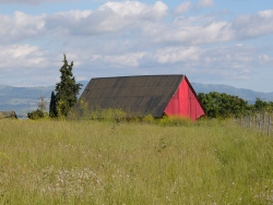 p1050599