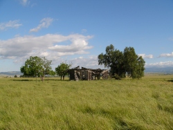p1050600