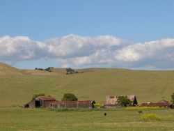 p1050609